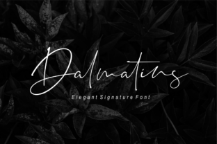 Dalmatins: The Modern Signature Font for Editorial Design
