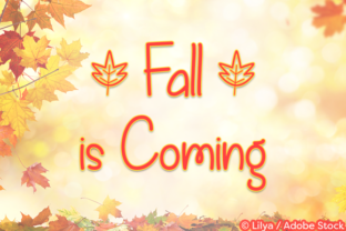 Fall is Coming: A Sweet Script Handwritten Font for Editorial Design