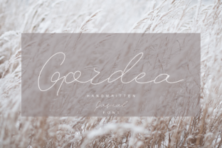 Gordea: The Modern Script Font for Polished Brand Identity