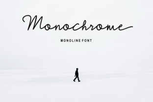 Monochrome: The Modern Monoline Script Font for Scroll-Stopping Visuals