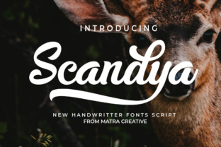 Scandya Script: A Brush Font Review for Handmade Brands