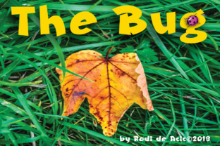 The Bug: A Bold Blackletter Typeface for High-Impact Digital Design